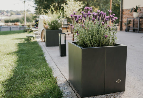 Hochbeet Monterosso aus Metall in pulverbeschichtet anthrazit im Garten