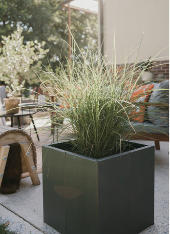 niedriges Hochbeet Vernazza aus Metall in pulverbeschichtet anthrazit