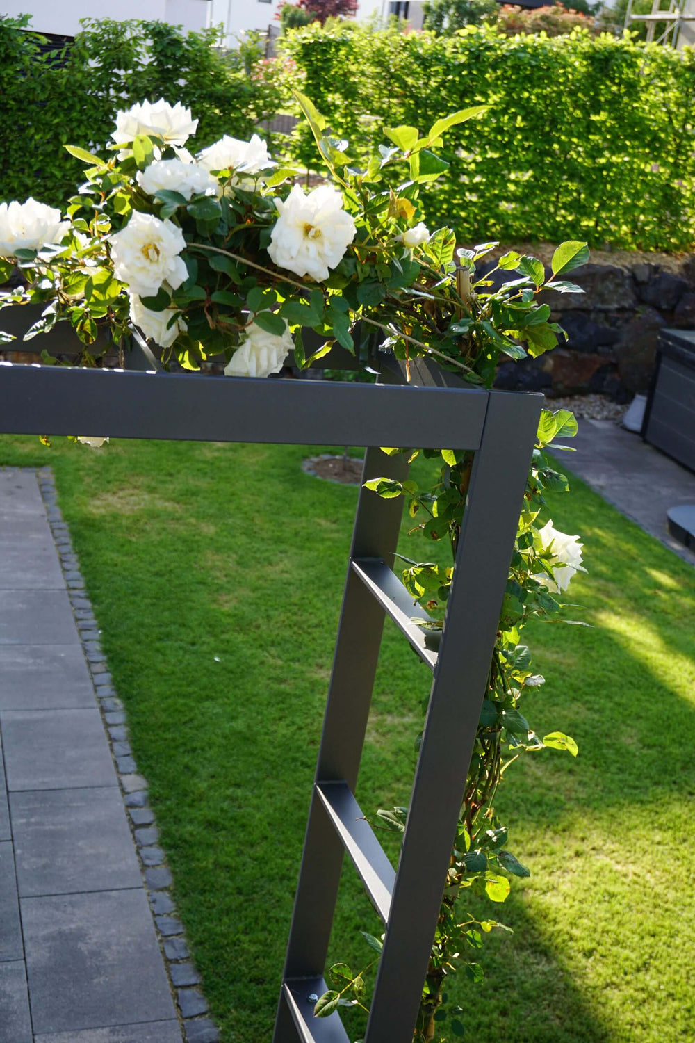 Rosenbogen Sorrento Rosenbogen Sorrento