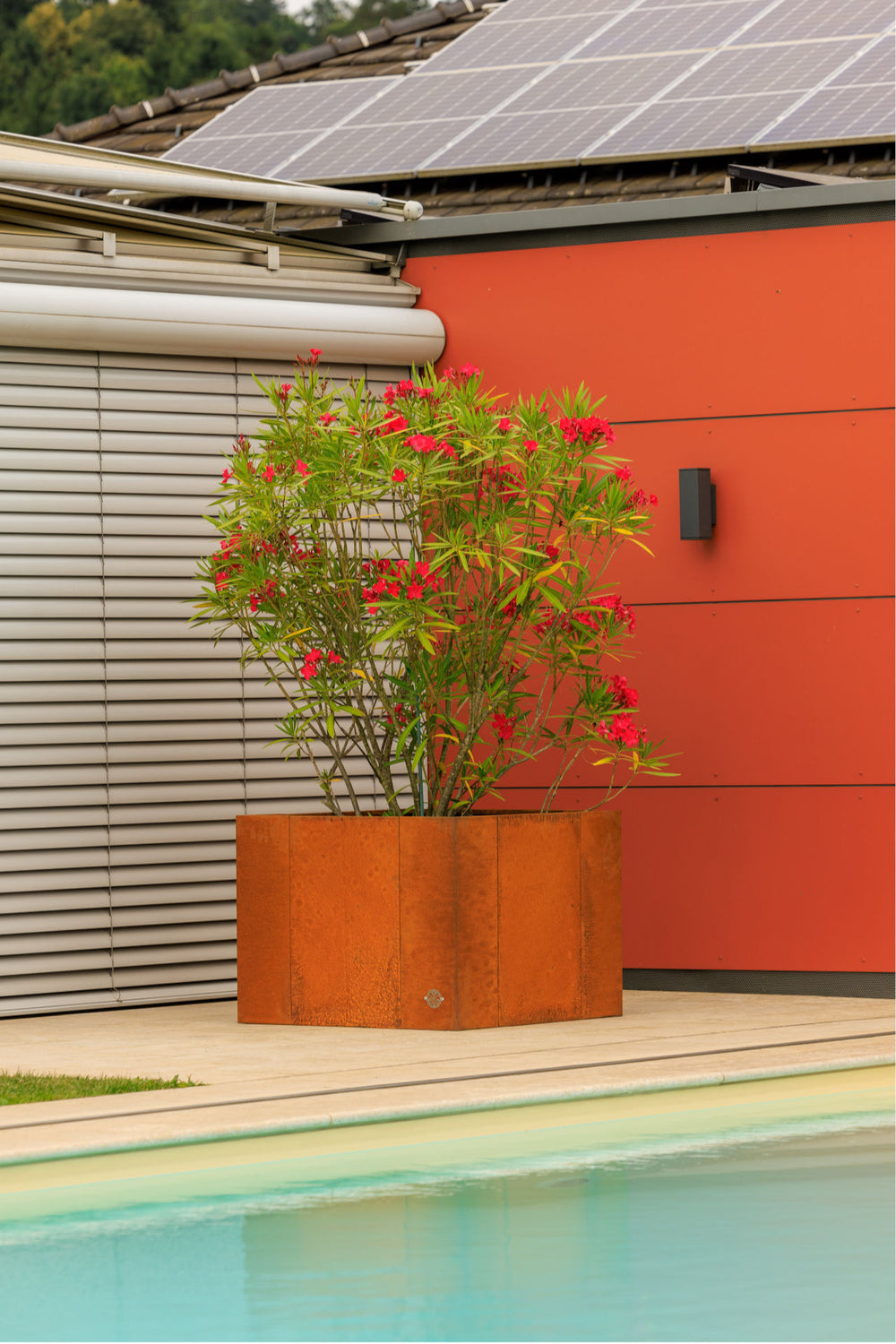 Hochbeet Monterosso bepflanzt mit bunten Blüten vor einem Pool im Sommer | Cortenstahl Hochbeet Monterosso bepflanzt mit bunten Blüten vor einem Pool im Sommer | Cortenstahl