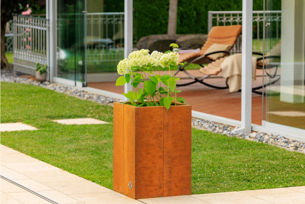 Hochbeet Monterosso bepflanzt neben einem kleinen Weg zum Wintergarten | Cortenstahl Hochbeet Monterosso bepflanzt neben einem kleinen Weg zum Wintergarten | Cortenstahl