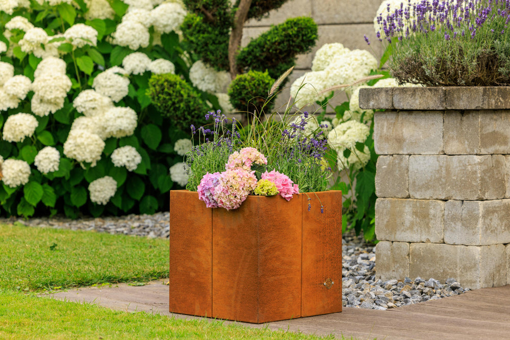 Pflanzkübel Vernazza Cortenstahl bepflanzt Pflanzkübel Vernazza Cortenstahl bepflanzt