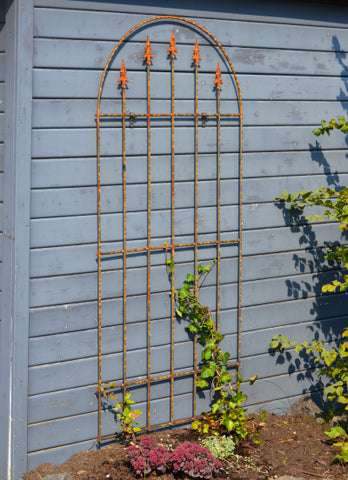 Rankhilfe Edera aus Metall in unbeschichtet an einer Hauswand