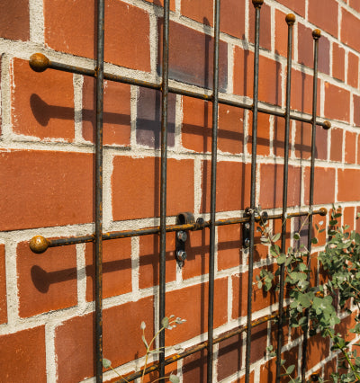 Rankgitter Bari aus Metall in unbeschichtet an der Hauswand