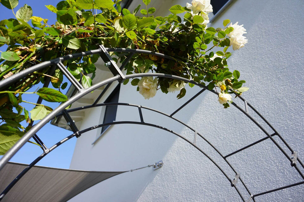 Rosenbogen Cremona anthrazit Bogen mit Blumen Rosenbogen Cremona anthrazit Bogen mit Blumen