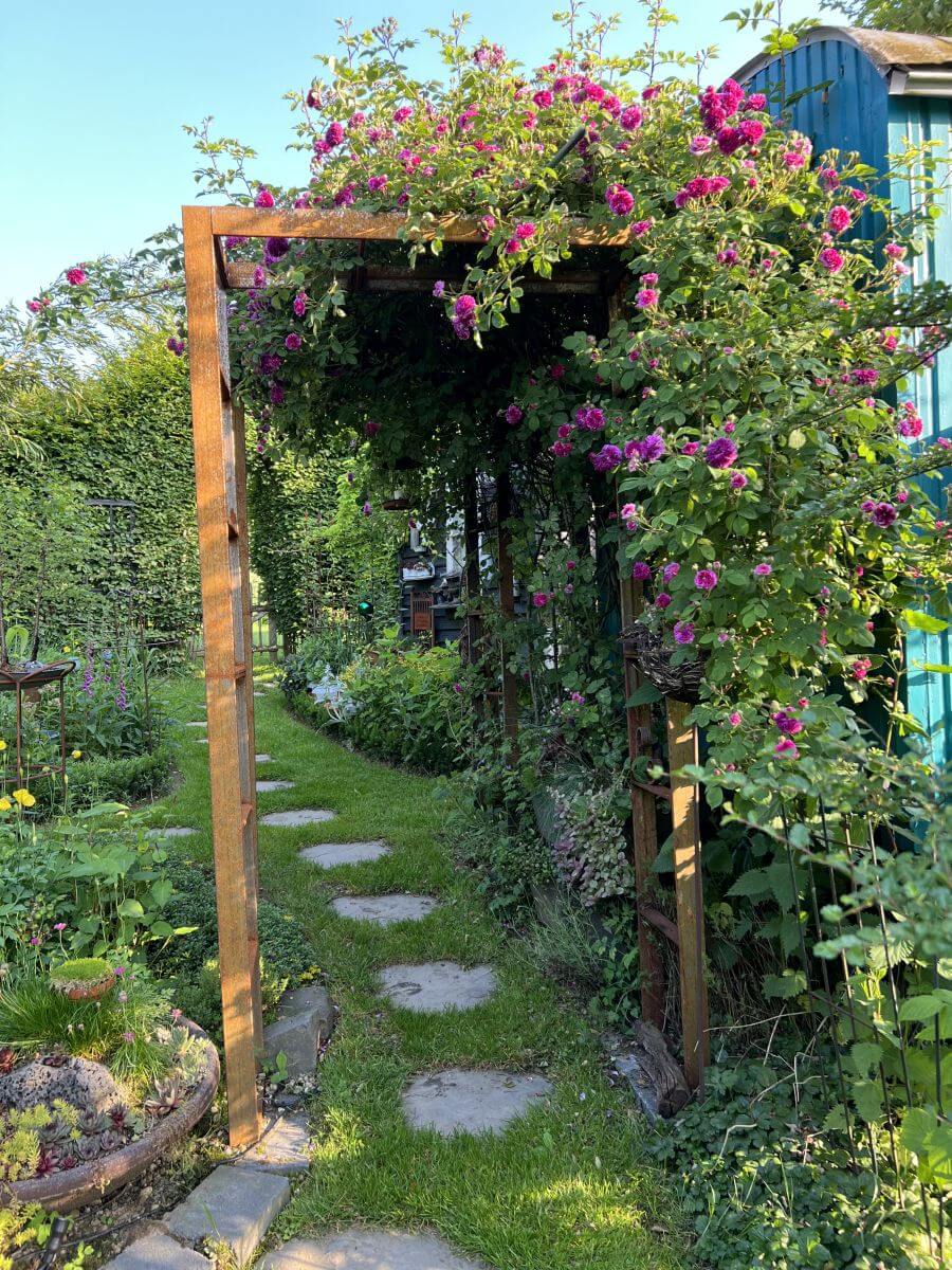 Rosenbogen Sorrento unbeschichtet Rosenbogen Sorrento unbeschichtet