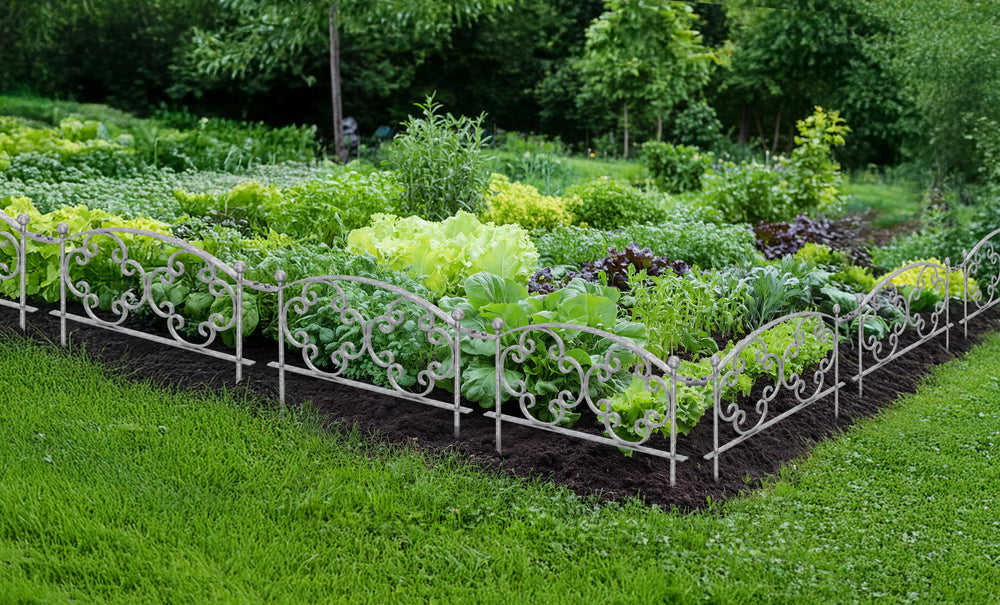 Beetzaun Rosa Beetzaun Rosa