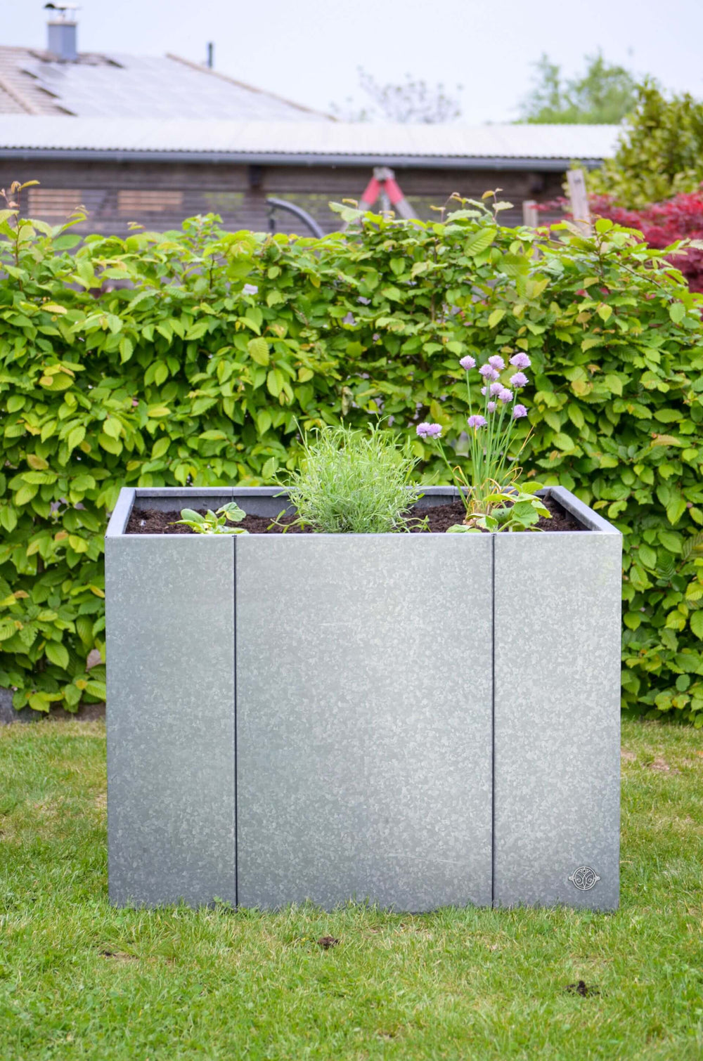 Hochbeet Monterosso bepflanzt vor einer dichten Hecke | Feuerverzinkt Hochbeet Monterosso bepflanzt vor einer dichten Hecke | Feuerverzinkt