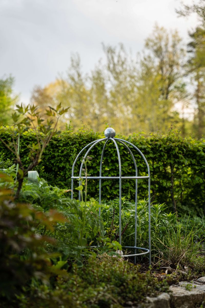 Pflanzenstütze Arezzo im grünen Garten Pflanzenstütze Arezzo im grünen Garten