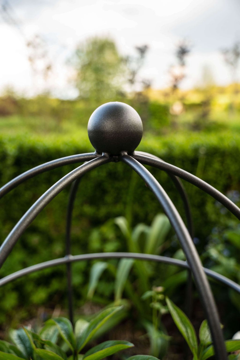 Pflanzstütze Arezzo in pulverbeschichtet Anthrazit in der Nahaufnahme Pflanzstütze Arezzo in pulverbeschichtet Anthrazit in der Nahaufnahme