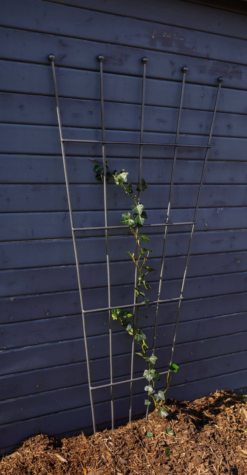 Rankgitter Brindisi vor Holzhütte, pulverbeschichtet anthrazit Rankgitter Brindisi vor Holzhütte, pulverbeschichtet anthrazit