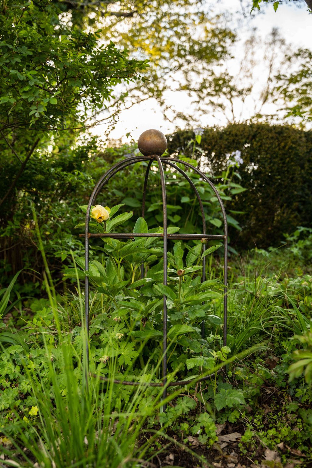 Pflanzenstütze Arezzo im grünen garten, unbeschichtet Pflanzenstütze Arezzo im grünen garten, unbeschichtet