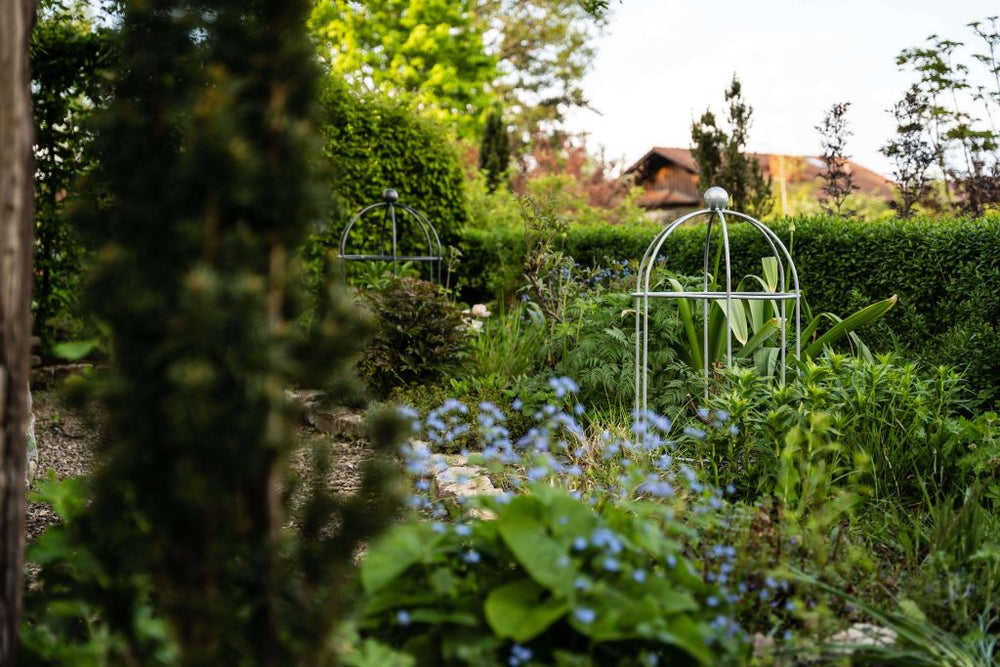Pflanzenstütze Arezzo im grünen Garten, feuerverzinkt und pulverbeschichtet athrazit Pflanzenstütze Arezzo im grünen Garten, feuerverzinkt und pulverbeschichtet athrazit
