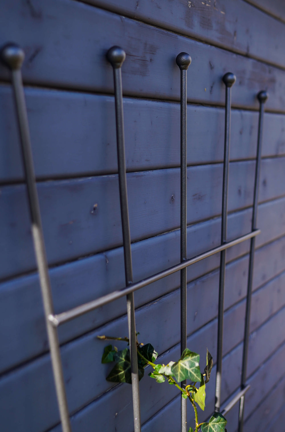 Rankgitter Brindisi in pulverbeschichtet Anthrazit aus der Nähe an einer Hauswand montiert Rankgitter Brindisi in pulverbeschichtet Anthrazit aus der Nähe an einer Hauswand montiert