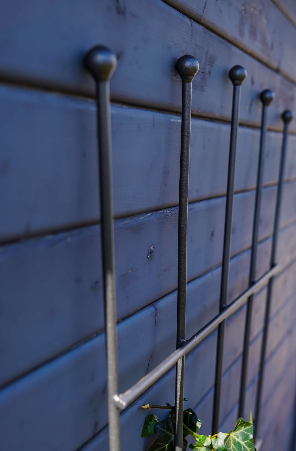 Rankgitter Brindisi in pulverbeschichtet Anthrazit aus der Nähe an einer Hauswand montiert Rankgitter Brindisi in pulverbeschichtet Anthrazit aus der Nähe an einer Hauswand montiert