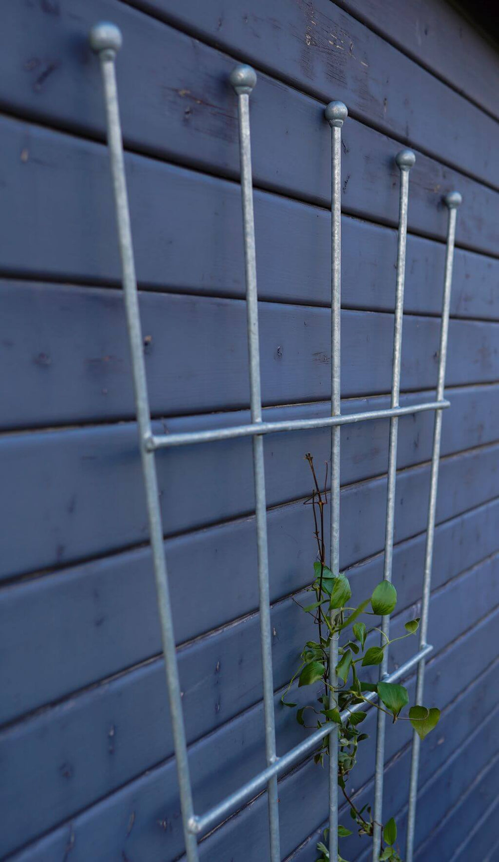 Rankgitter Brindisi vor Holzhütte obere Hälfte, feuerverzinkt Rankgitter Brindisi vor Holzhütte obere Hälfte, feuerverzinkt