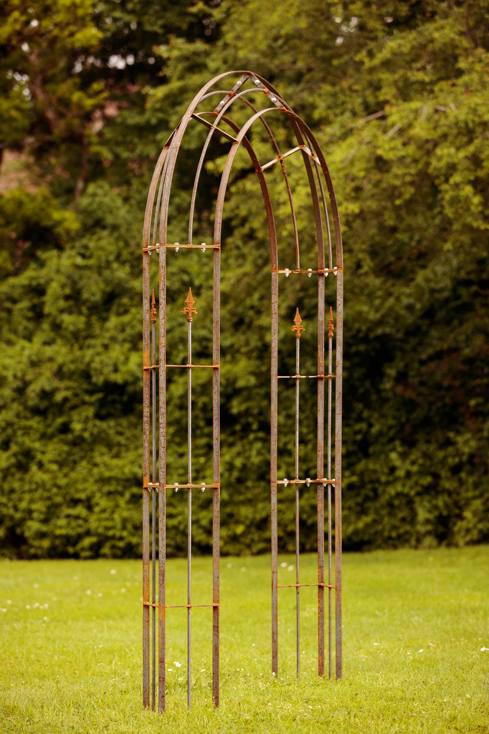 Rosenbogen Cosenza auf einem Rasen | Unbeschichtet Rosenbogen Cosenza auf einem Rasen | Unbeschichtet