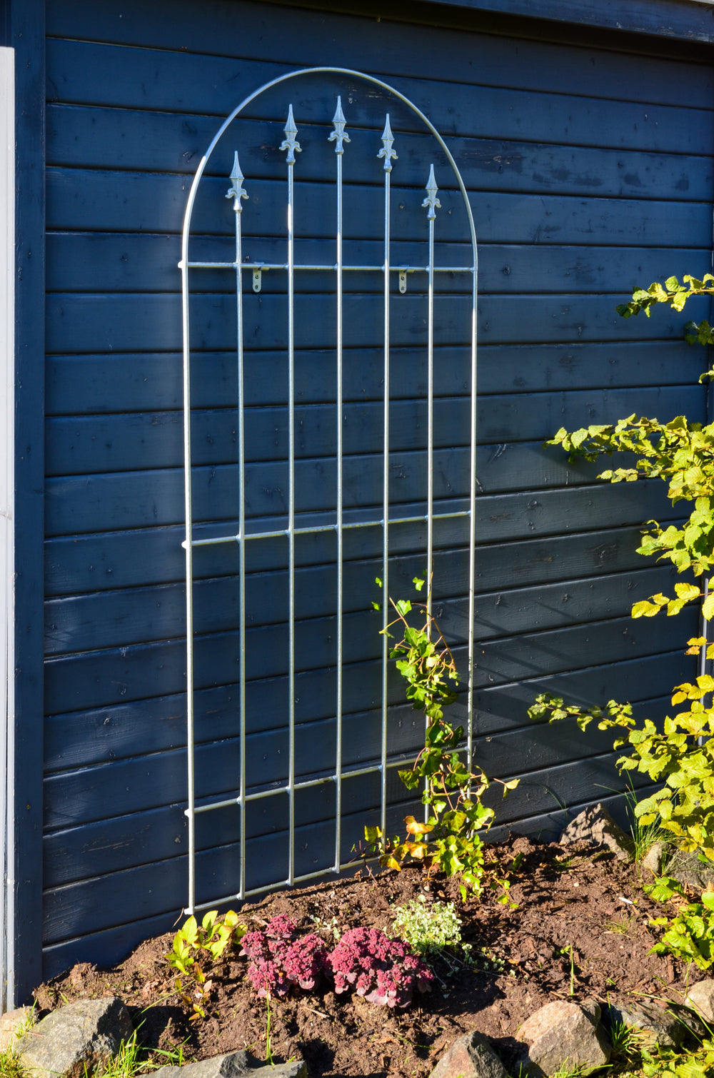 Wandgitter Edera in feuerverzinkt berankt an einer Hauswand Wandgitter Edera in feuerverzinkt berankt an einer Hauswand