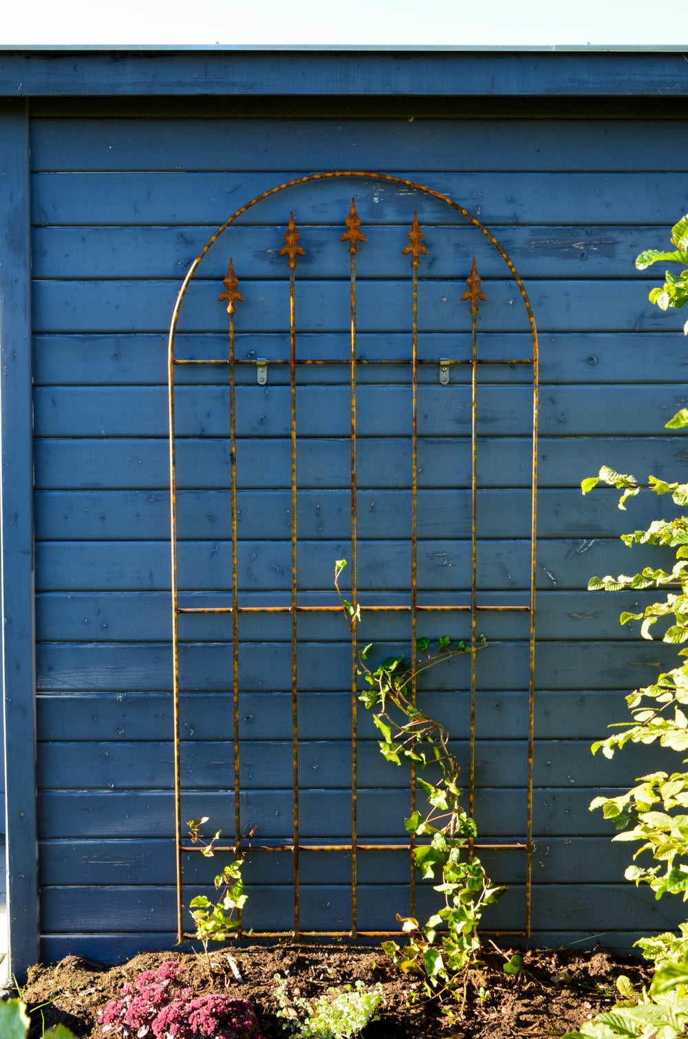 Wandgitter Edera in unbeschichtet berankt an einer Hauswand Wandgitter Edera in unbeschichtet berankt an einer Hauswand