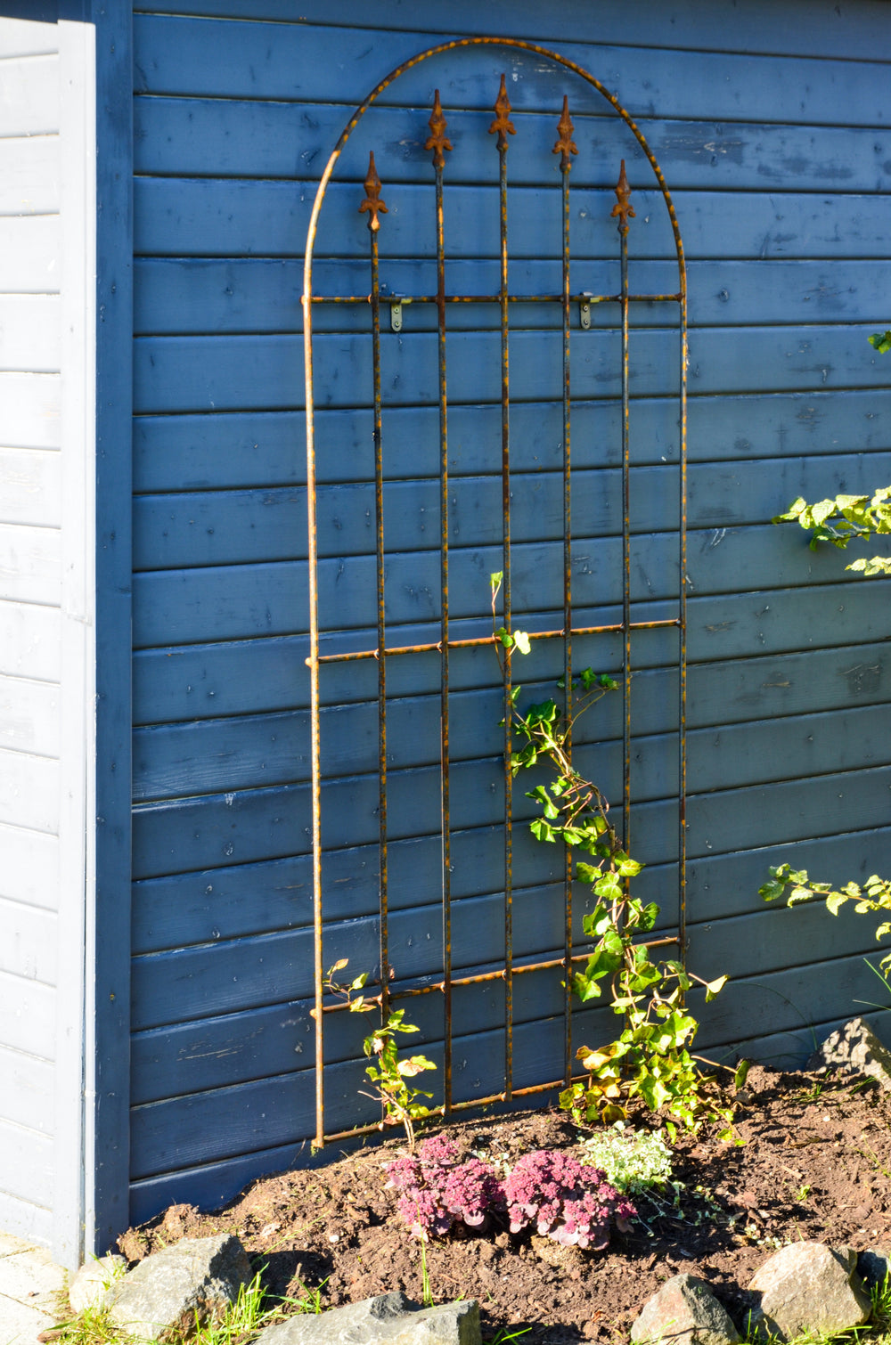 Wandgitter Edera in unbeschichtet berankt an einer Hauswand Wandgitter Edera in unbeschichtet berankt an einer Hauswand