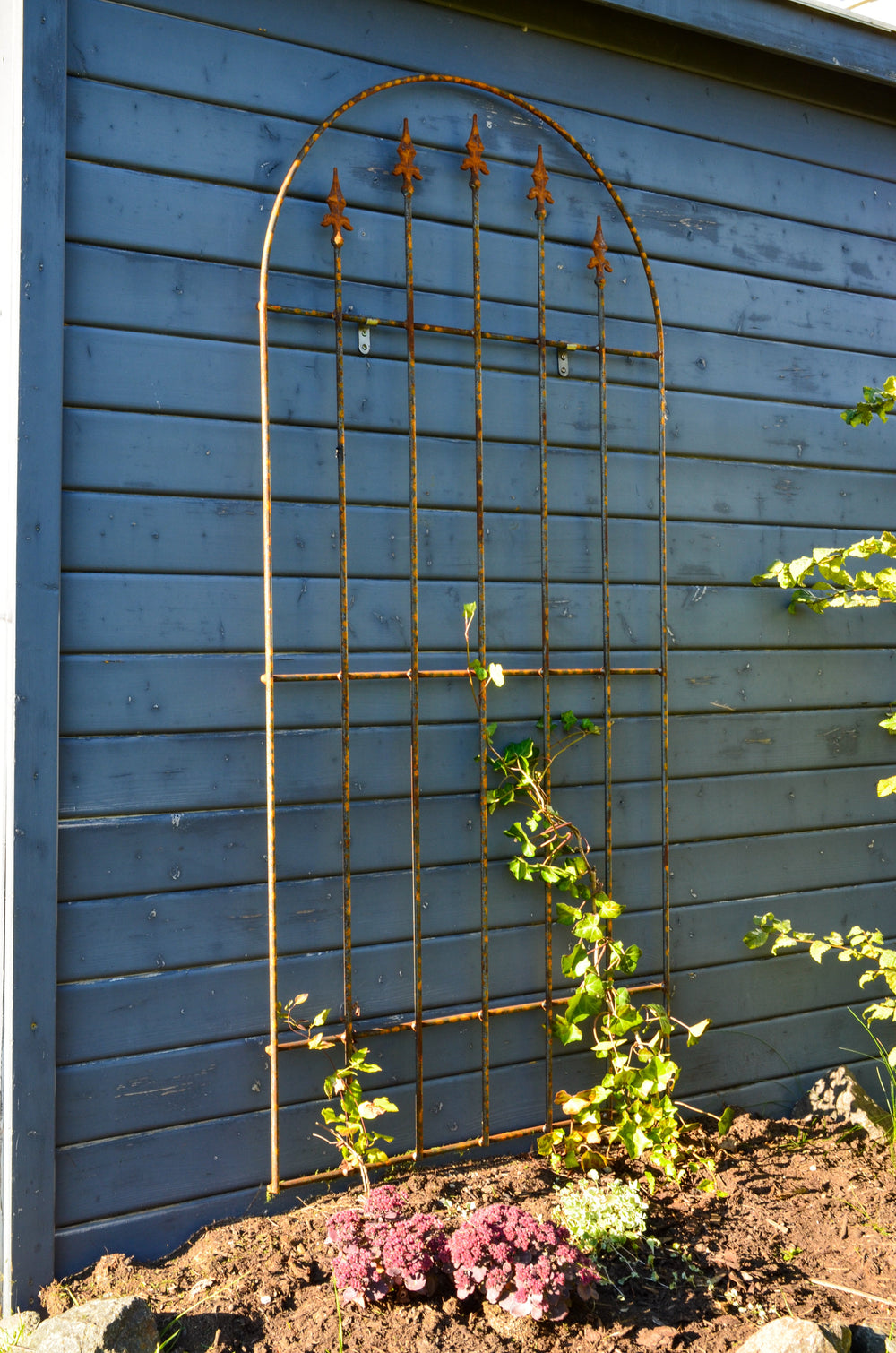 Wandgitter Edera in unbeschichtet berankt an einer Hauswand Wandgitter Edera in unbeschichtet berankt an einer Hauswand