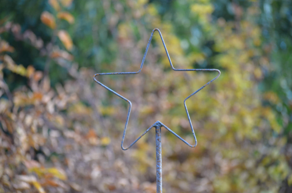 Rankstab Tissano Detailasnicht Stern-Spitze unbeschichtet Rankstab Tissano Detailasnicht Stern-Spitze unbeschichtet