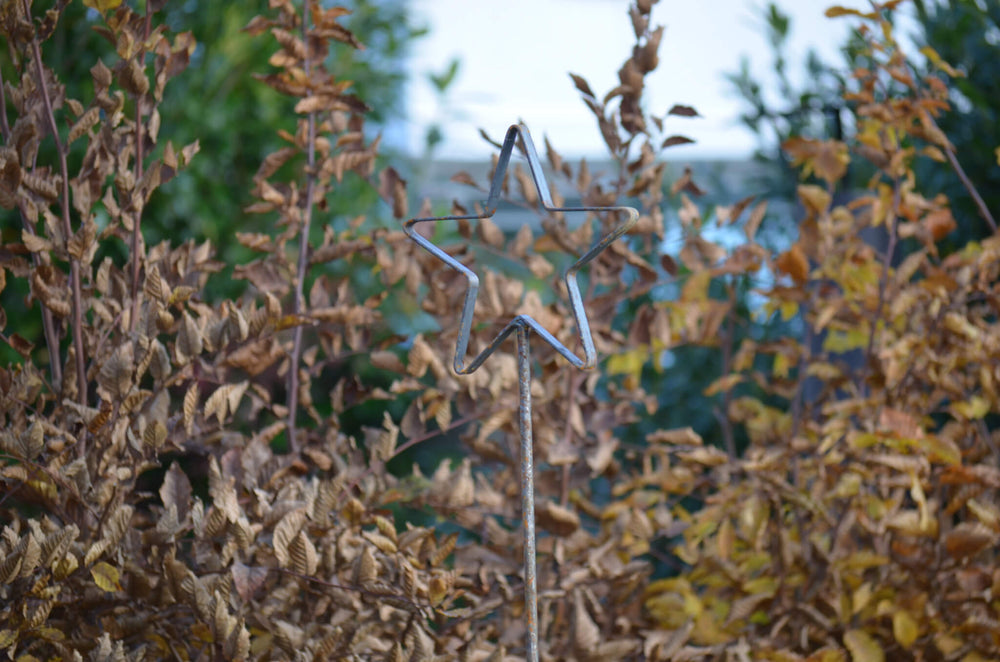 Rankstab Tissano Stern-Spitze unbeschichtet vor welkenden Laubbäumen Rankstab Tissano Stern-Spitze unbeschichtet vor welkenden Laubbäumen
