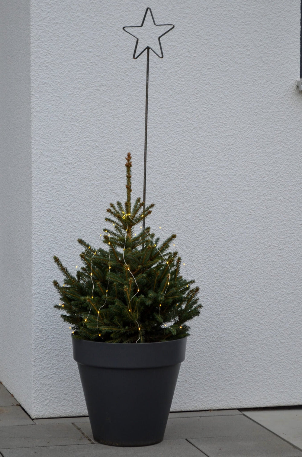 Rankstab Tissano als Weihnachtsdekoration in Blumentopf mit kleinem Weihnachtsbaum Rankstab Tissano als Weihnachtsdekoration in Blumentopf mit kleinem Weihnachtsbaum