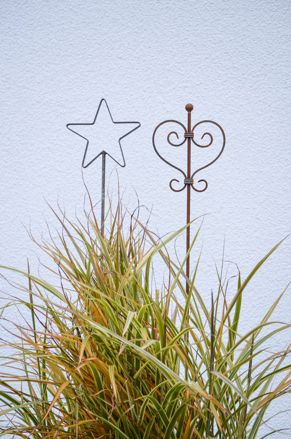 Rankstabset Tissano & Treviso Stern-Spitze feuerverzinkt und Herz-Spitze unbeschichtet mir grünen Rankpflanzen vor Hauswand Rankstabset Tissano & Treviso Stern-Spitze feuerverzinkt und Herz-Spitze unbeschichtet mir grünen Rankpflanzen vor Hauswand