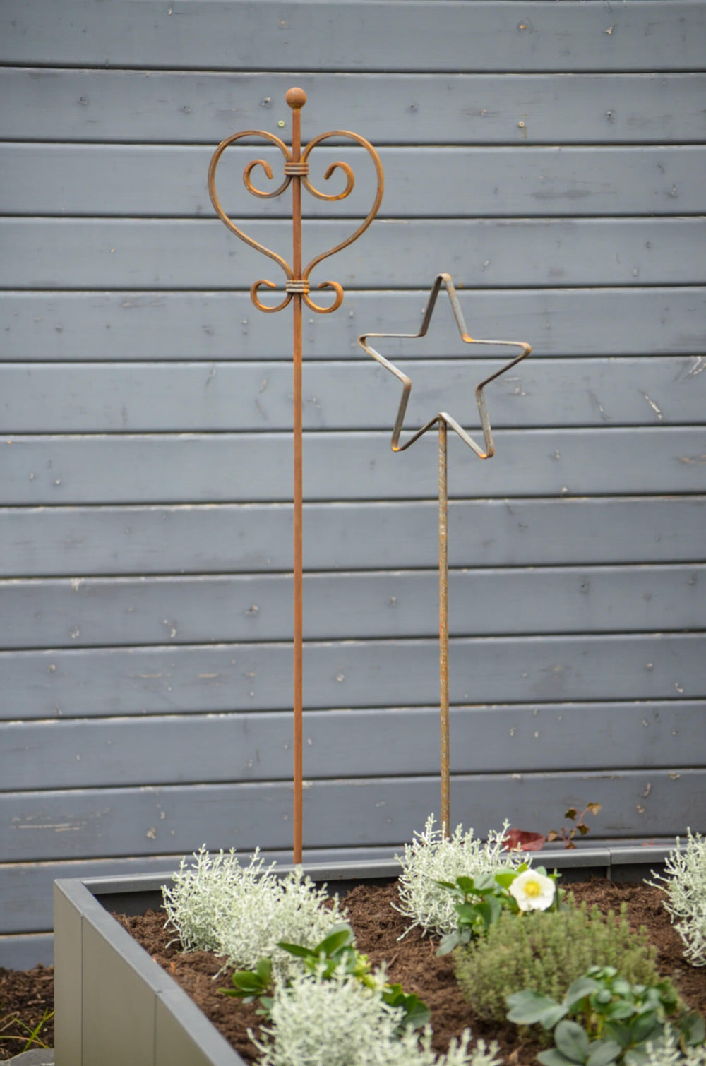 Rankstabset Tissano & Treviso beide Rankstäbe unbeschichtet im Hochbeet Rankstabset Tissano & Treviso beide Rankstäbe unbeschichtet im Hochbeet