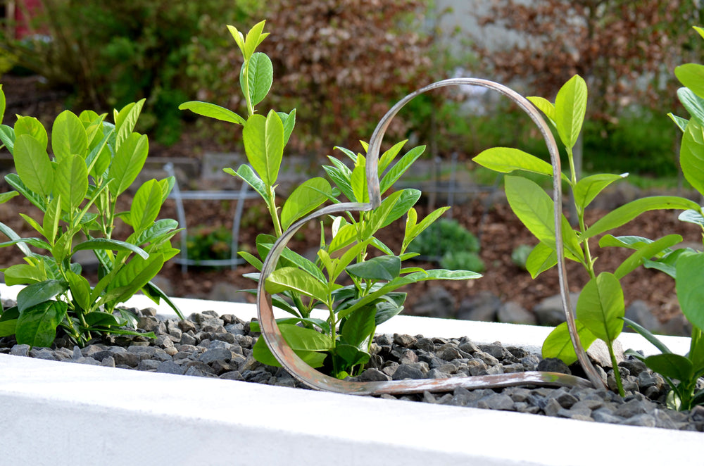 Metallherz Biella im Steinbeet mit grünen Pflanzen, unbeschichtet Metallherz Biella im Steinbeet mit grünen Pflanzen, unbeschichtet