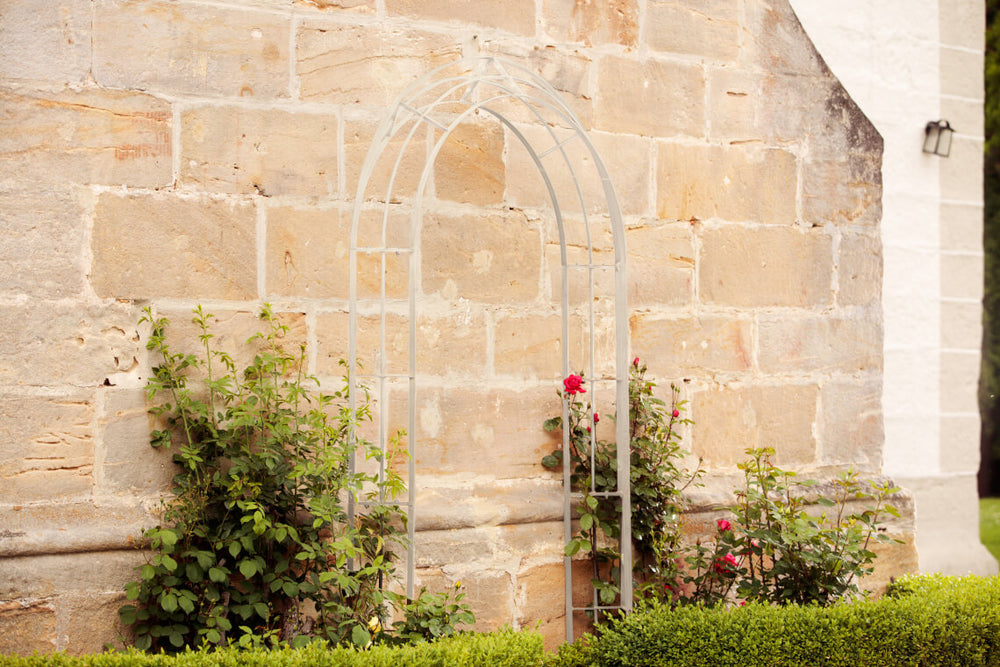 Rosenbogen Matera in pulverbeschichtet Sonderfarbe RAL 9001 Cremeweiß an einer Hauswand mit Rosenpflanzen Rosenbogen Matera in pulverbeschichtet Sonderfarbe RAL 9001 Cremeweiß an einer Hauswand mit Rosenpflanzen