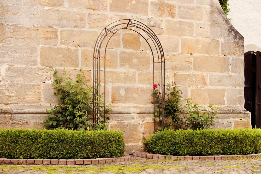 Rosenbogen Matera in unbeschichtet an einer Hauswand mit mediterraner Umgebung Rosenbogen Matera in unbeschichtet an einer Hauswand mit mediterraner Umgebung