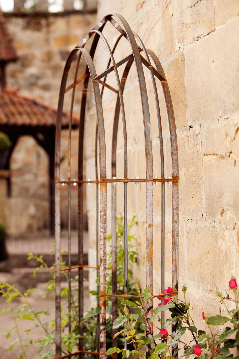 Rosenbogen Matera in unbeschichtet an einer Hauswand mit mediterraner Umgebung Rosenbogen Matera in unbeschichtet an einer Hauswand mit mediterraner Umgebung