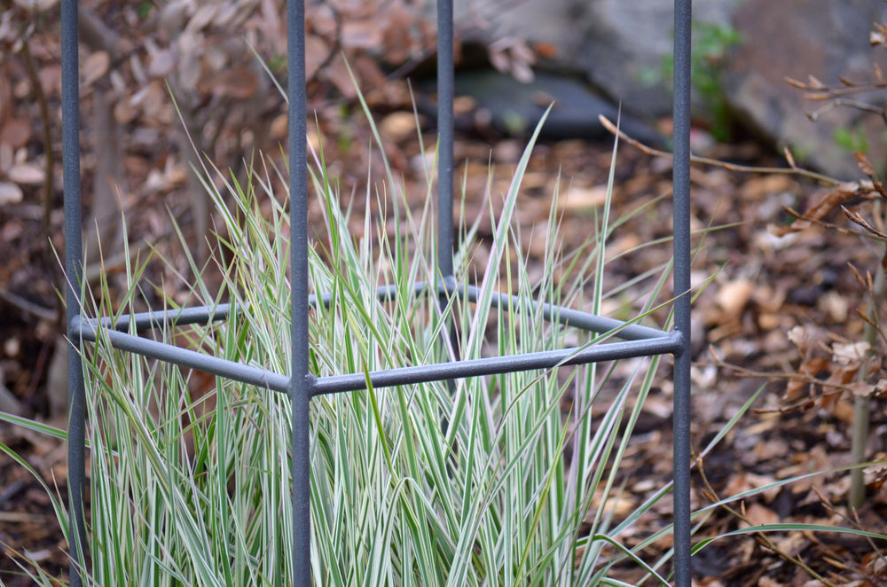 Obelisk Catania klein Detailansicht Verstrebungen, pulverbeschichtet anthrazit Obelisk Catania klein Detailansicht Verstrebungen, pulverbeschichtet anthrazit