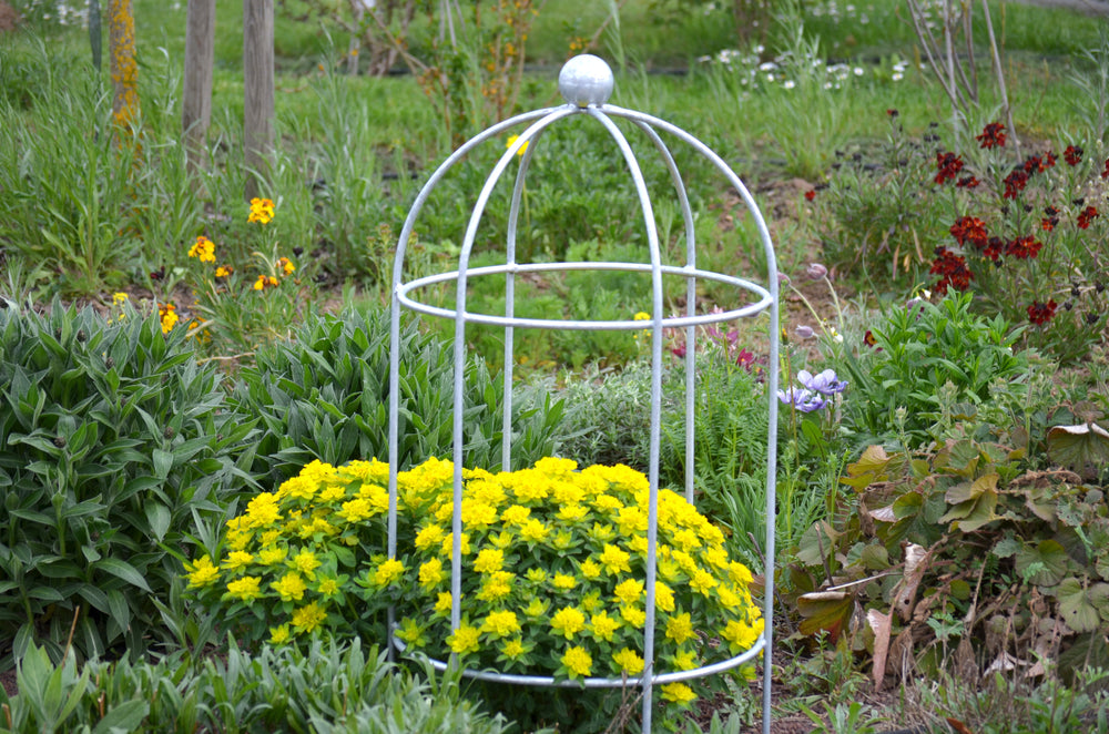 Pflanzstütze Arezzo in feuerverzinkt in einem Garten mit Blumen Pflanzstütze Arezzo in feuerverzinkt in einem Garten mit Blumen