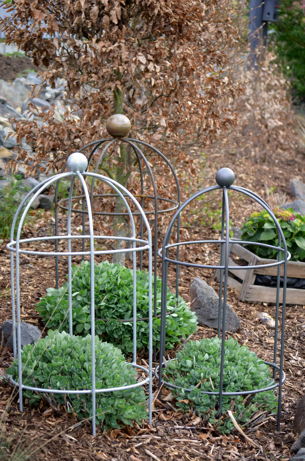 Pflanzenstütze Arezzo in drfei Ausführungen, feuerverzinkt, pulverbeschichtet anthrazit und unbeschichtet Pflanzenstütze Arezzo in drfei Ausführungen, feuerverzinkt, pulverbeschichtet anthrazit und unbeschichtet