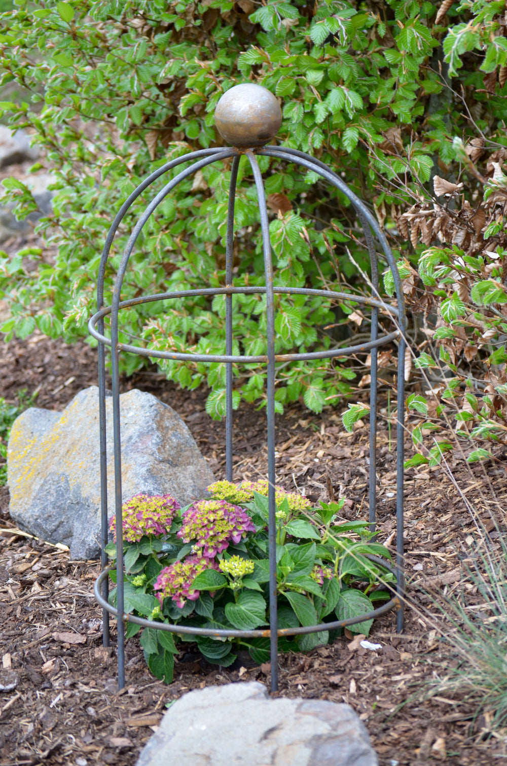 Pflanzenstütze Arezzo im Garten, unbeschichtet Pflanzenstütze Arezzo im Garten, unbeschichtet