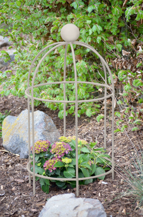 Pflanzenstütze Arezzo in pulverbeschichtet Sonderfarbe RAL 9001 Cremeweiß auf einem bepflanzten Beet Pflanzenstütze Arezzo in pulverbeschichtet Sonderfarbe RAL 9001 Cremeweiß auf einem bepflanzten Beet