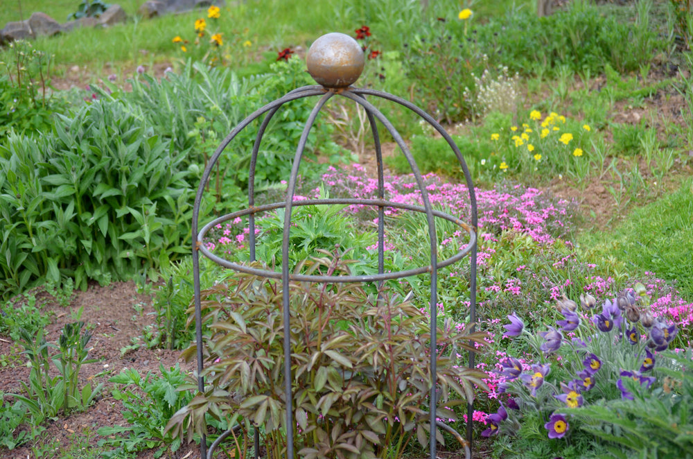 Pflanzenstütze Arezzo vor verschiedenen Planzen und Blüten, unbeschichtet Pflanzenstütze Arezzo vor verschiedenen Planzen und Blüten, unbeschichtet