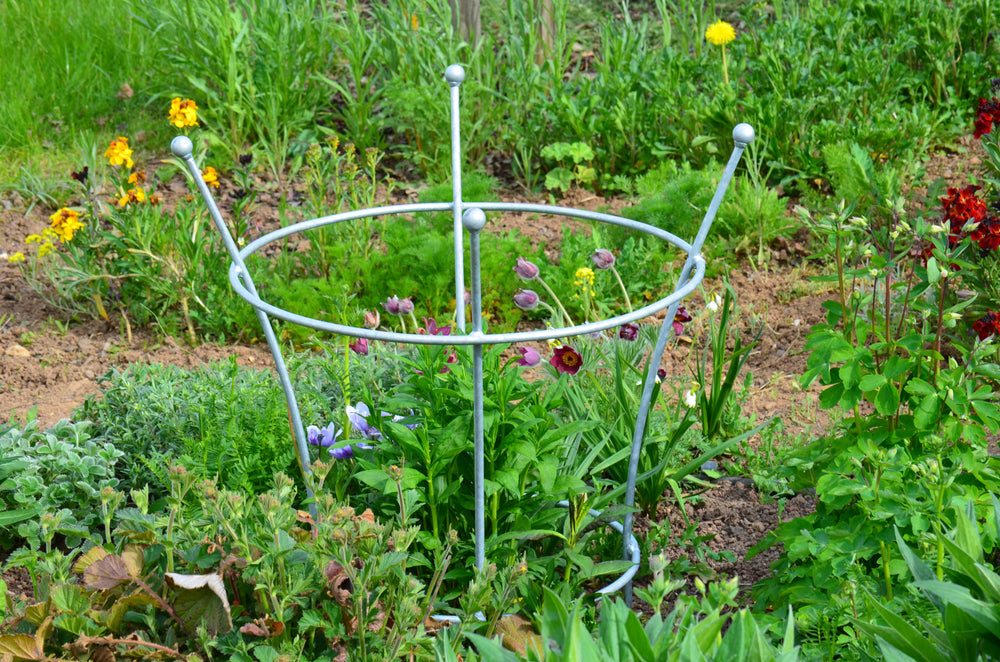 Pflanzenstütze Grosetto im grünen Beet mit verschiedenen Blüten, feuerverzinkt Pflanzenstütze Grosetto im grünen Beet mit verschiedenen Blüten, feuerverzinkt
