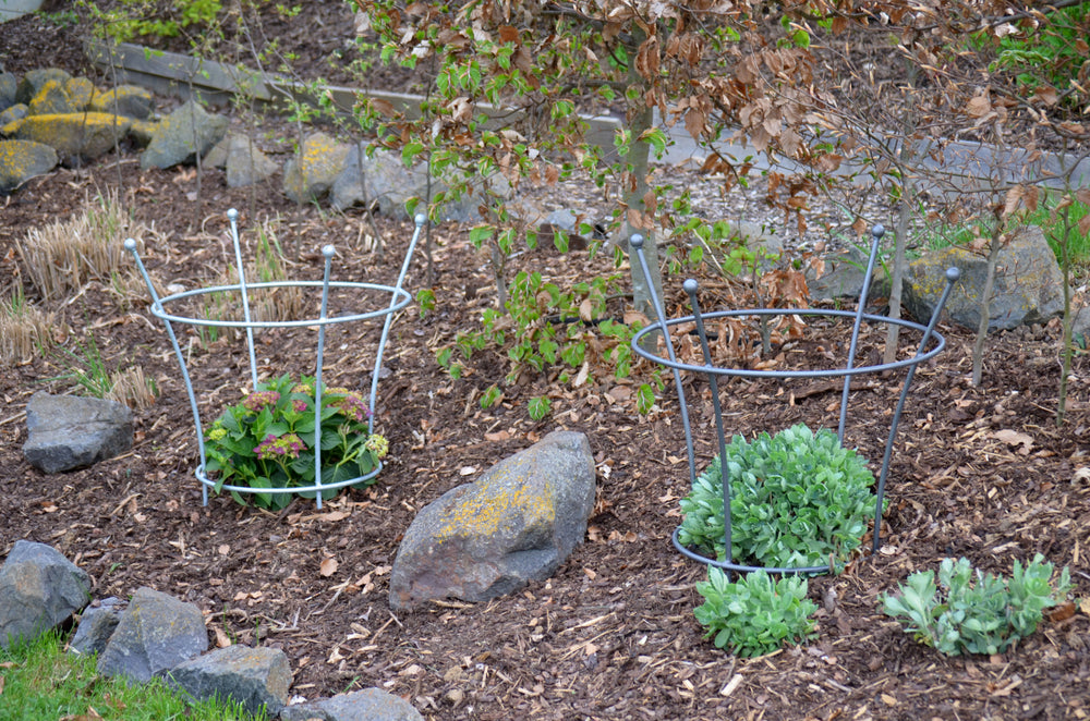 Pflanzstützen Grosetto in feuerverzinkt und pulverbeschichtet Anthrazit in einem Beet mit Bepflanzung Pflanzstützen Grosetto in feuerverzinkt und pulverbeschichtet Anthrazit in einem Beet mit Bepflanzung