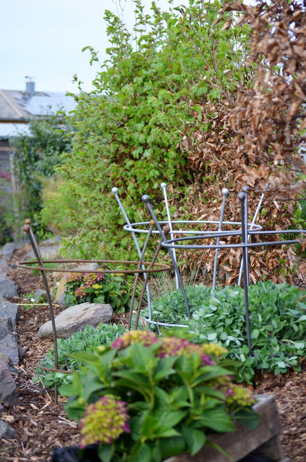 Pflanzstützen Grosetto in verschiedenen Beschichtungen in einem herbstlichen Garten Pflanzstützen Grosetto in verschiedenen Beschichtungen in einem herbstlichen Garten