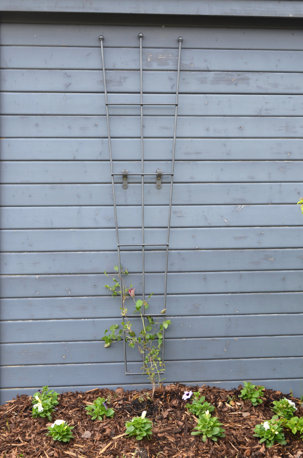 Rankgitter Bari vor Holzhütte, pulverbeschichtet anthrazit Rankgitter Bari vor Holzhütte, pulverbeschichtet anthrazit