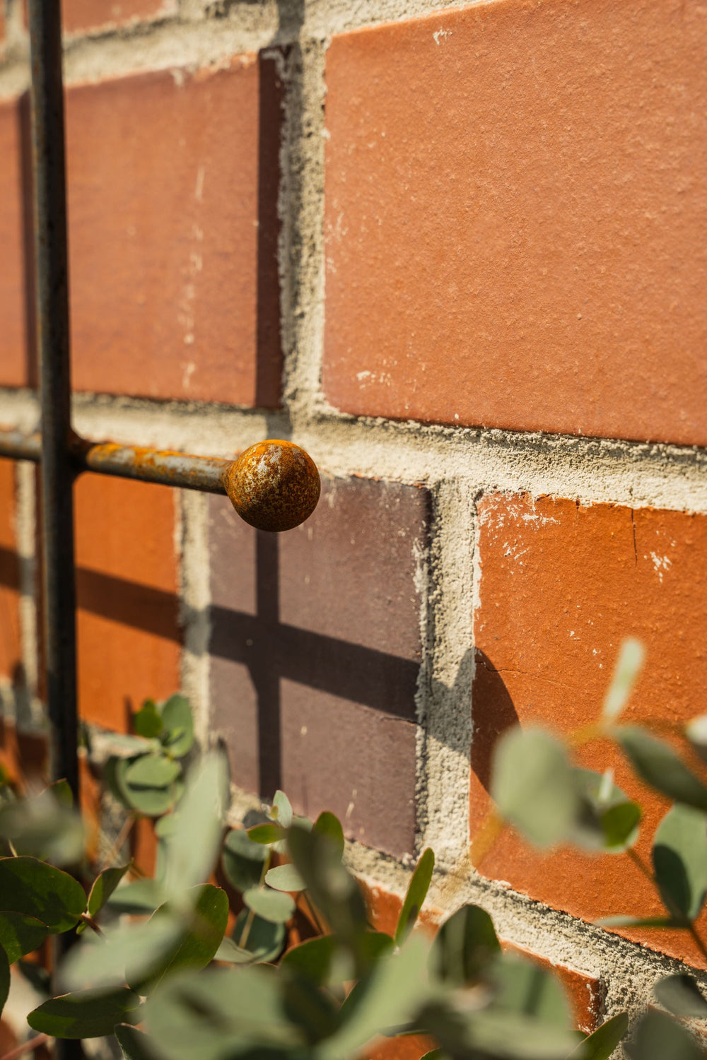 Rankgerüst Tarent aus Metall in unbeschichtet an einer Wand Rankgerüst Tarent aus Metall in unbeschichtet an einer Wand