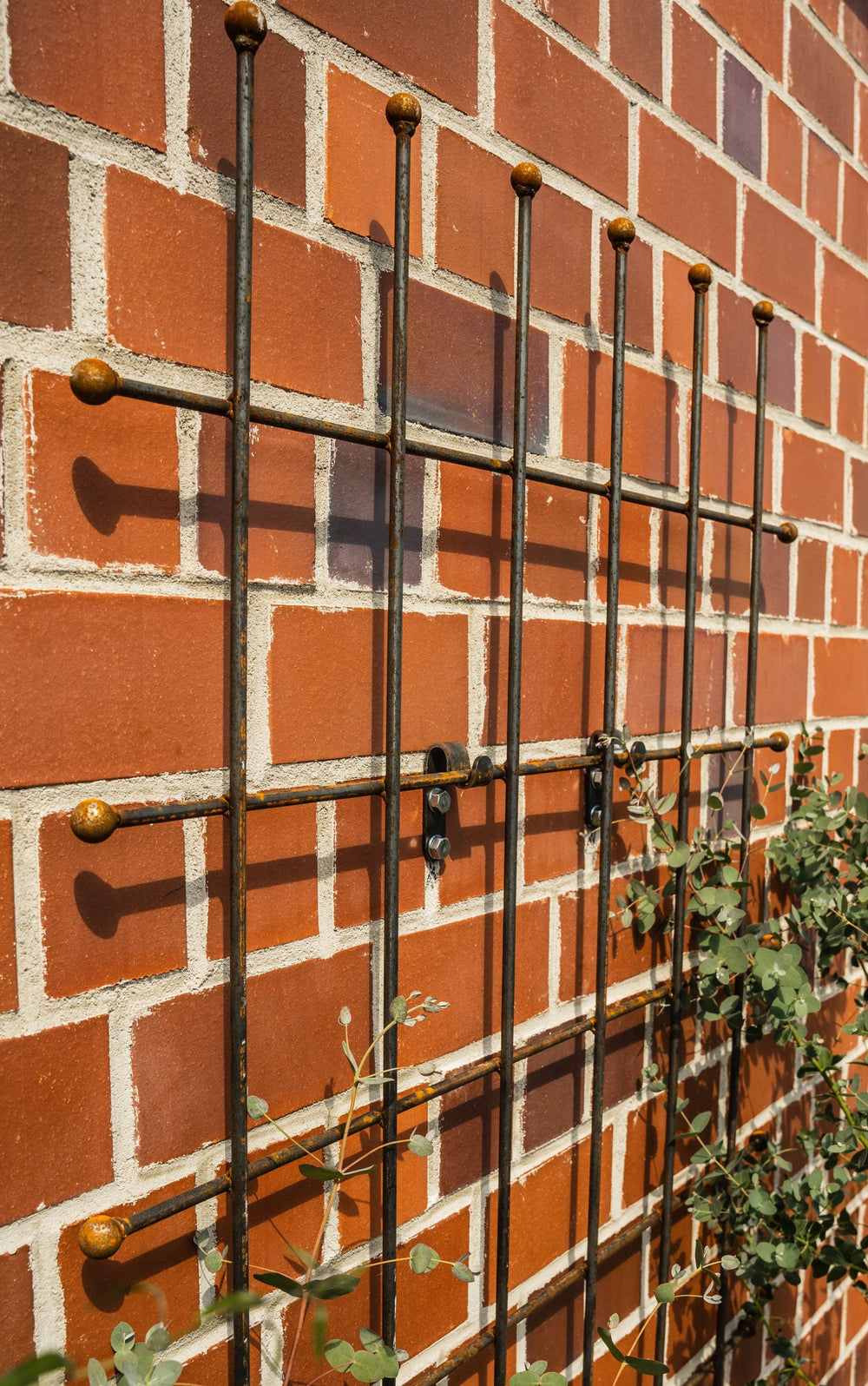 Rankgitter Tarent aus Metall in unbeschichtet an einer Hauswand Rankgitter Tarent aus Metall in unbeschichtet an einer Hauswand