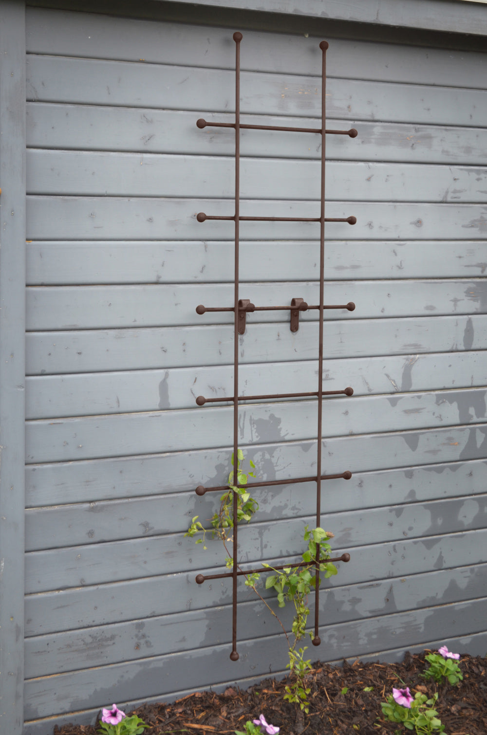 Rankgitter Tarent klein in pulverbeschichtet Sonderfarbe RAL 8017 Schokobraun hinter einem Beet an einer Hauswand montiert Rankgitter Tarent klein in pulverbeschichtet Sonderfarbe RAL 8017 Schokobraun hinter einem Beet an einer Hauswand montiert