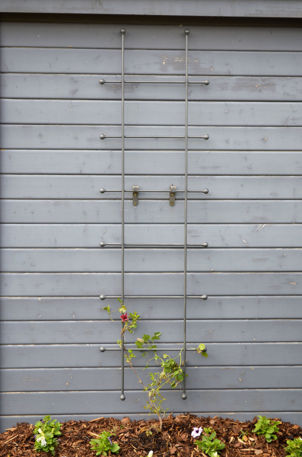 Rankgitter Tarent klein vor Holzhütte, pulverbeschichtet anthrazit Rankgitter Tarent klein vor Holzhütte, pulverbeschichtet anthrazit