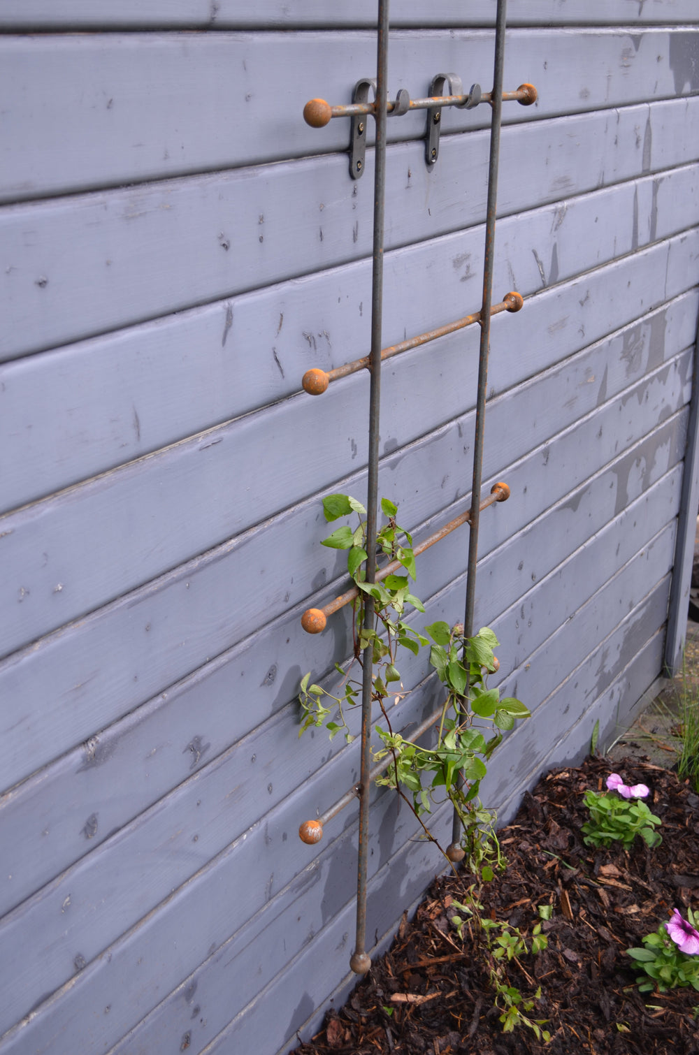 Rankgitter Tarent klein untere Hälfte, unbeschichtet Rankgitter Tarent klein untere Hälfte, unbeschichtet