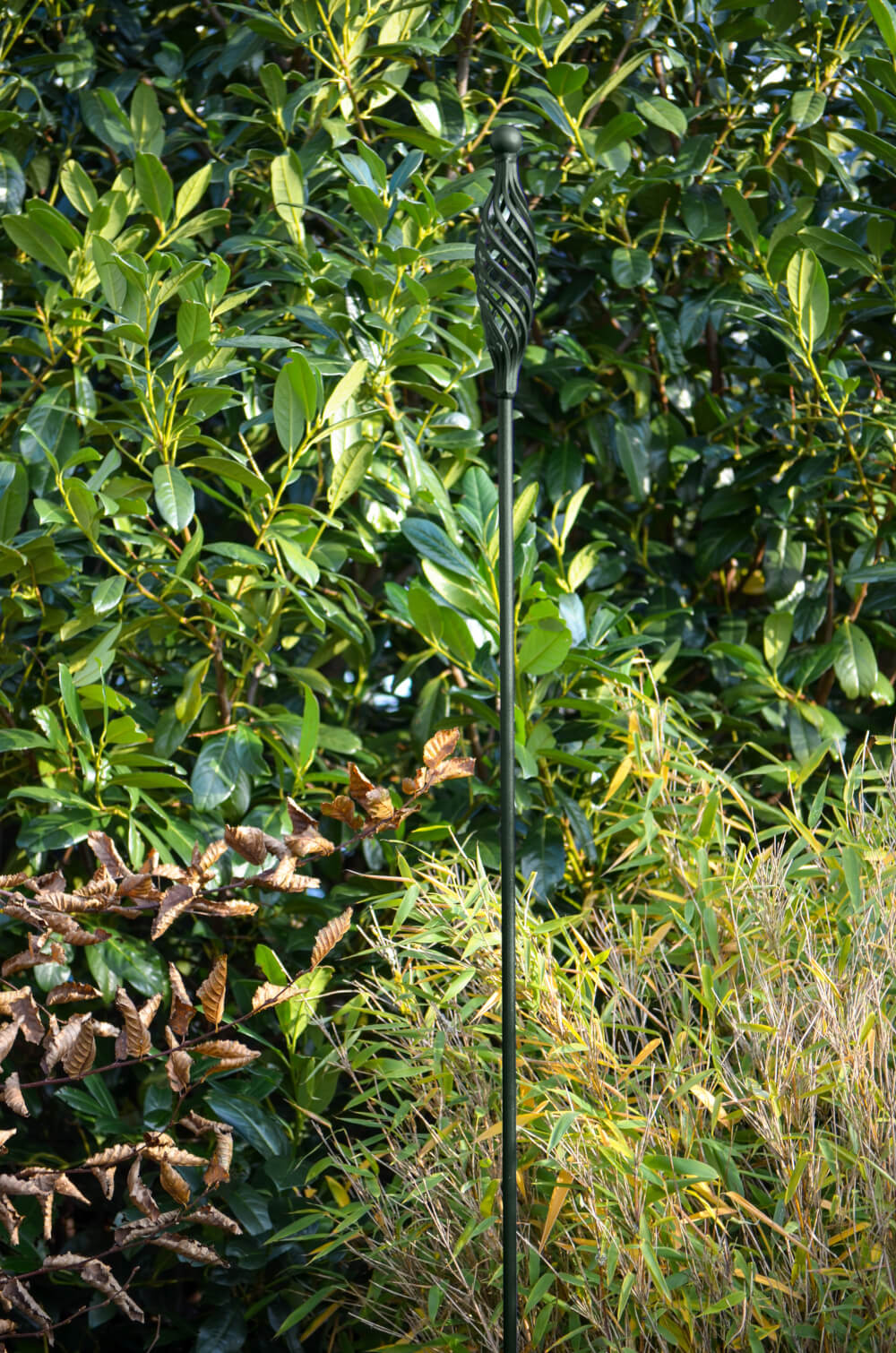 Rankstab Vicenza in pulverbeschichtet Sonderfarbe RAL 6009 Tannengrün aus der Nähe zwischen Pflanzen Rankstab Vicenza in pulverbeschichtet Sonderfarbe RAL 6009 Tannengrün aus der Nähe zwischen Pflanzen